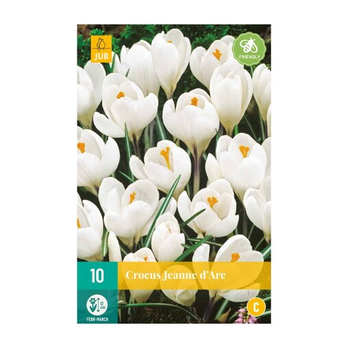 Krokusbollen Jeanne Darc (zakje van 10 stuks)